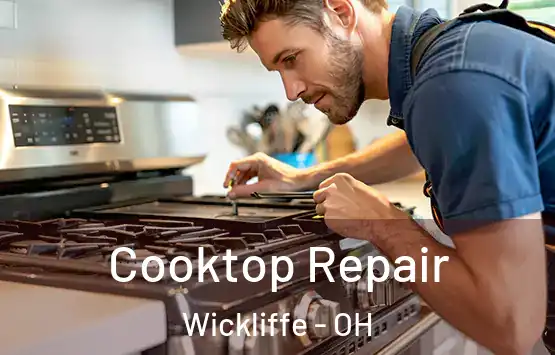  Cooktop Repair Wickliffe - OH