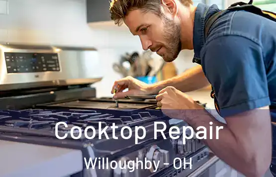  Cooktop Repair Willoughby - OH