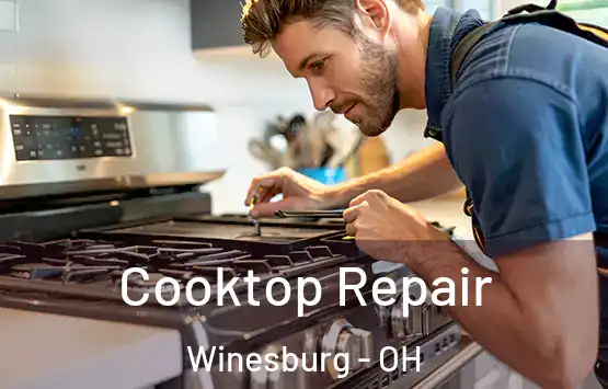  Cooktop Repair Winesburg - OH