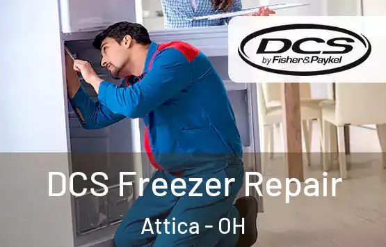  DCS Freezer Repair Attica - OH