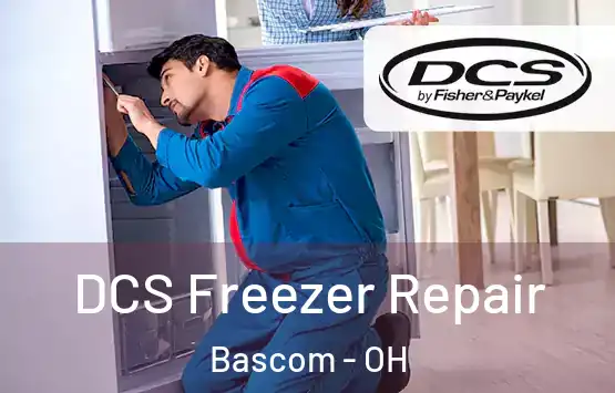  DCS Freezer Repair Bascom - OH