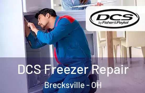  DCS Freezer Repair Brecksville - OH