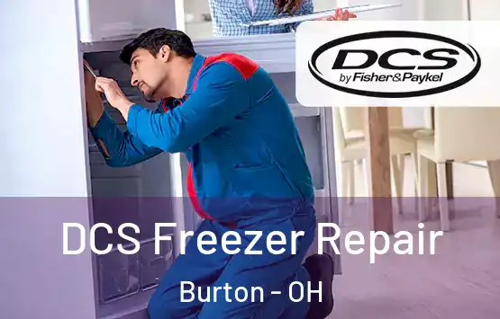  DCS Freezer Repair Burton - OH