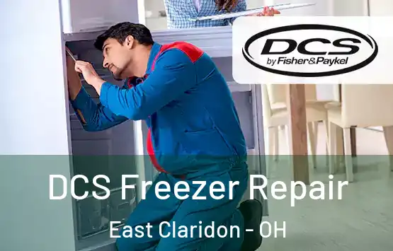  DCS Freezer Repair East Claridon - OH