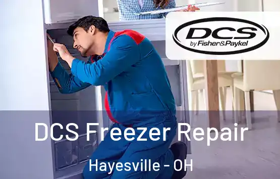  DCS Freezer Repair Hayesville - OH