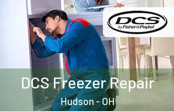  DCS Freezer Repair Hudson - OH