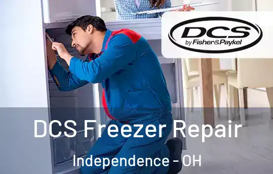  DCS Freezer Repair Independence - OH