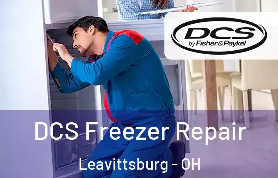  DCS Freezer Repair Leavittsburg - OH