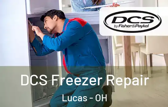  DCS Freezer Repair Lucas - OH
