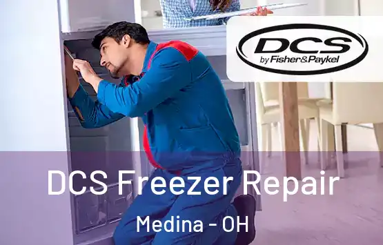  DCS Freezer Repair Medina - OH