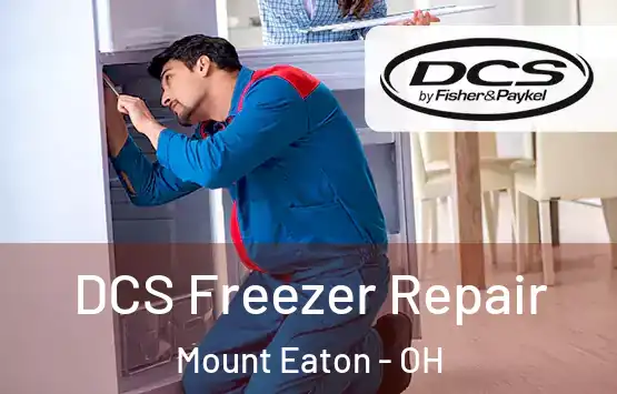 DCS Freezer Repair Mount Eaton - OH
