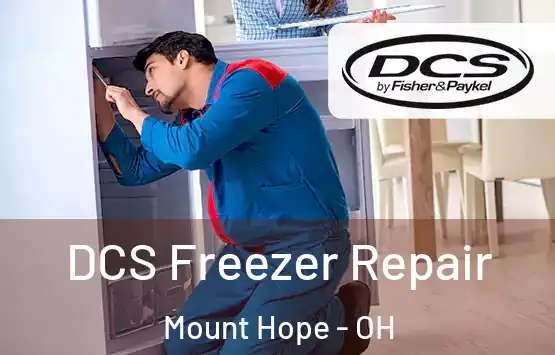  DCS Freezer Repair Mount Hope - OH
