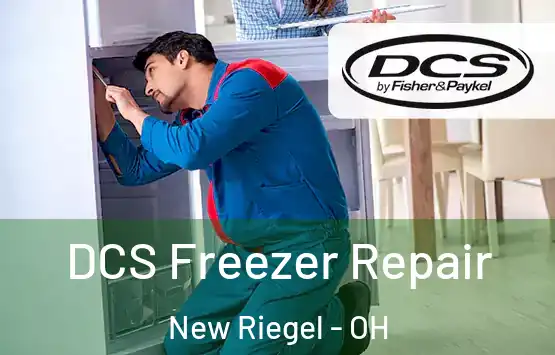 DCS Freezer Repair New Riegel - OH