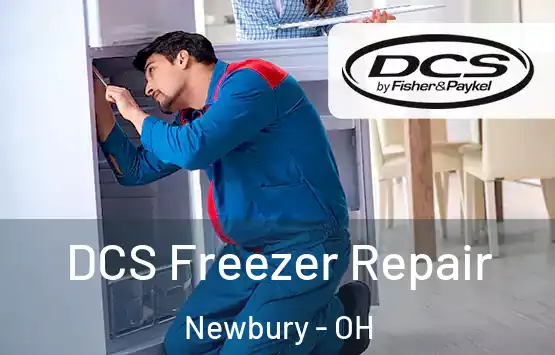  DCS Freezer Repair Newbury - OH