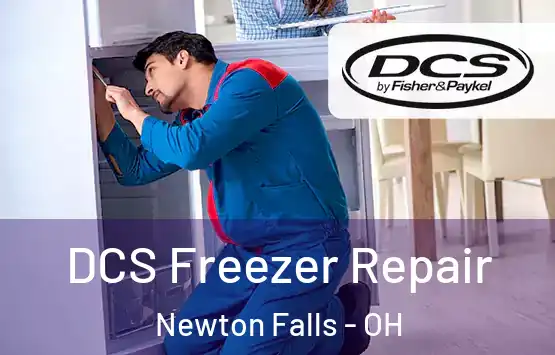  DCS Freezer Repair Newton Falls - OH