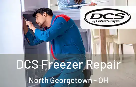  DCS Freezer Repair North Georgetown - OH