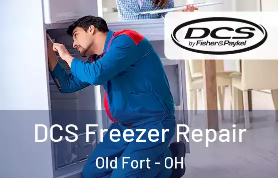  DCS Freezer Repair Old Fort - OH