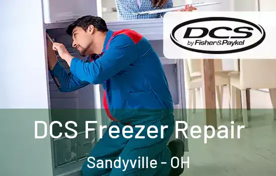  DCS Freezer Repair Sandyville - OH