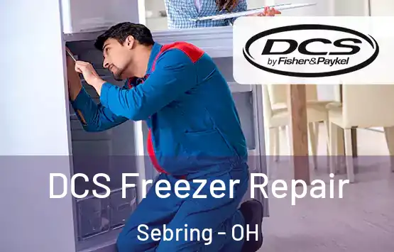  DCS Freezer Repair Sebring - OH