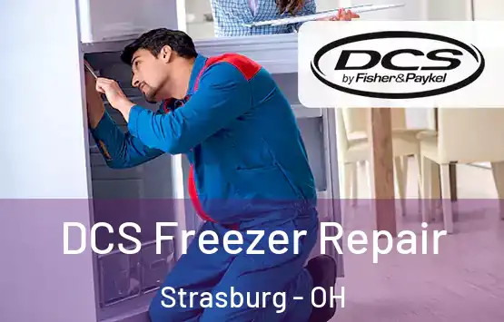  DCS Freezer Repair Strasburg - OH