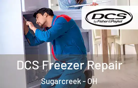  DCS Freezer Repair Sugarcreek - OH