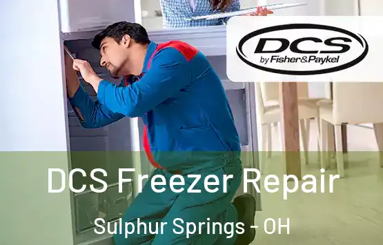  DCS Freezer Repair Sulphur Springs - OH