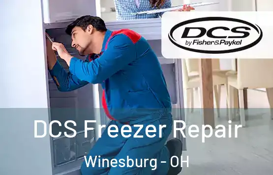  DCS Freezer Repair Winesburg - OH