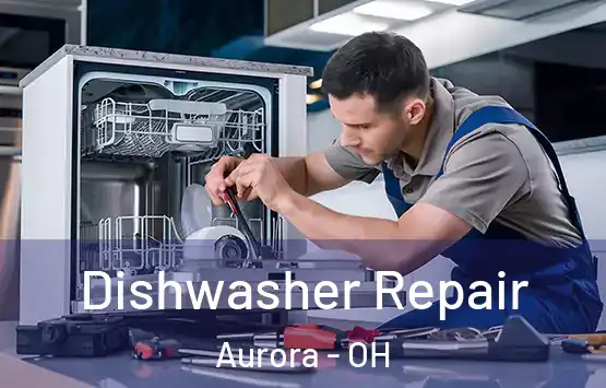  Dishwasher Repair Aurora - OH