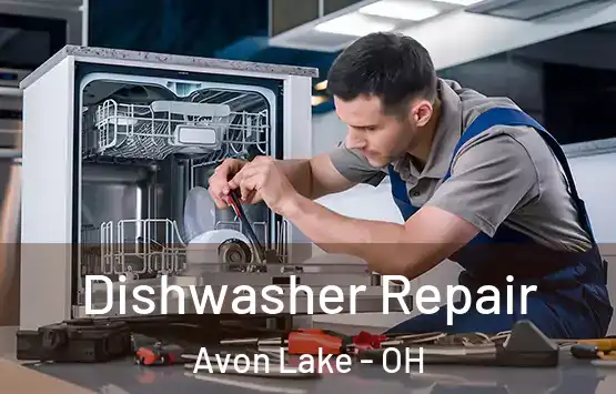  Dishwasher Repair Avon Lake - OH