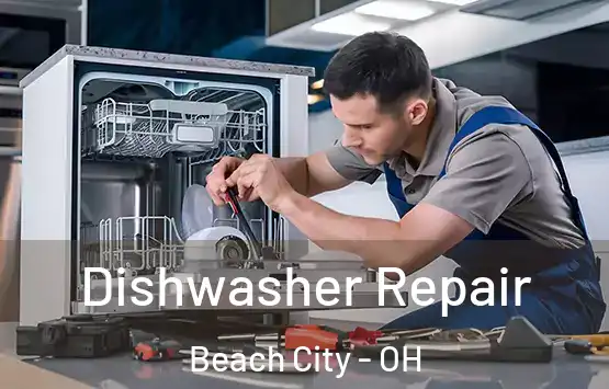  Dishwasher Repair Beach City - OH