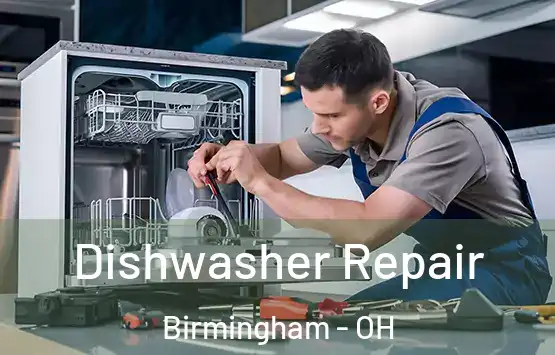  Dishwasher Repair Birmingham - OH