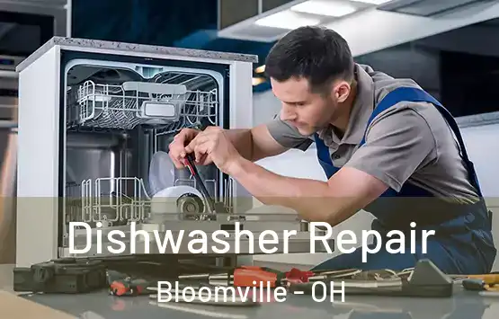  Dishwasher Repair Bloomville - OH