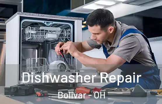  Dishwasher Repair Bolivar - OH
