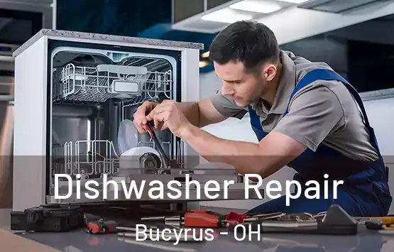 Dishwasher Repair Bucyrus - OH