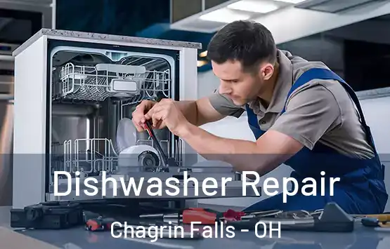  Dishwasher Repair Chagrin Falls - OH