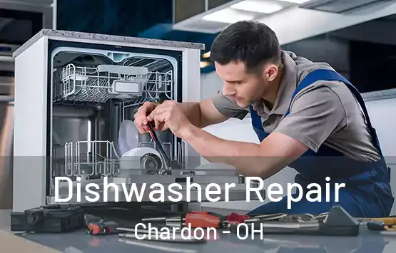  Dishwasher Repair Chardon - OH