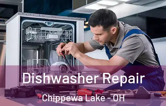  Dishwasher Repair Chippewa Lake - OH