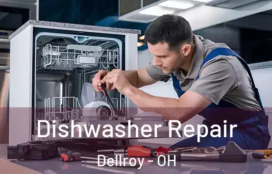  Dishwasher Repair Dellroy - OH