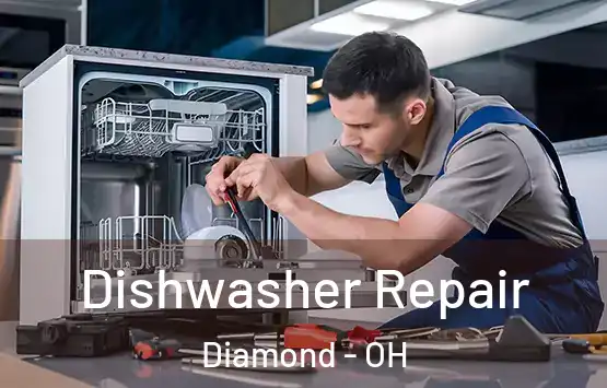  Dishwasher Repair Diamond - OH