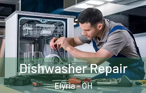 Dishwasher Repair Elyria - OH