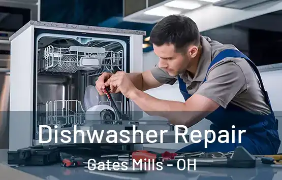  Dishwasher Repair Gates Mills - OH