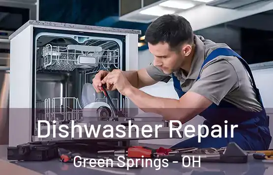  Dishwasher Repair Green Springs - OH