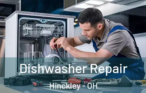  Dishwasher Repair Hinckley - OH