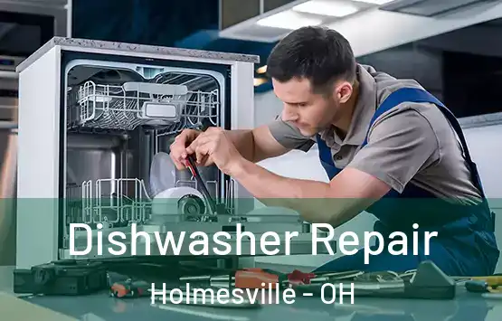  Dishwasher Repair Holmesville - OH