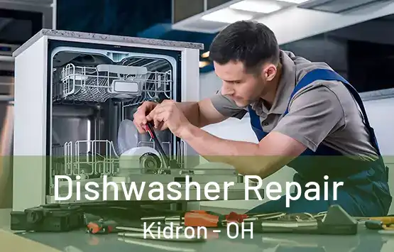  Dishwasher Repair Kidron - OH