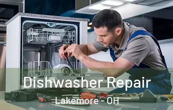  Dishwasher Repair Lakemore - OH