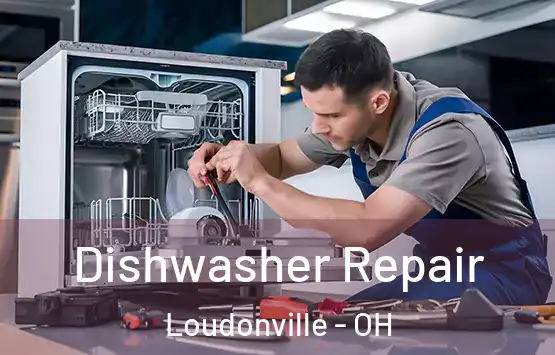  Dishwasher Repair Loudonville - OH