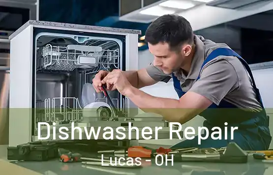  Dishwasher Repair Lucas - OH