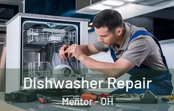  Dishwasher Repair Mentor - OH