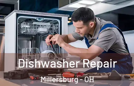  Dishwasher Repair Millersburg - OH